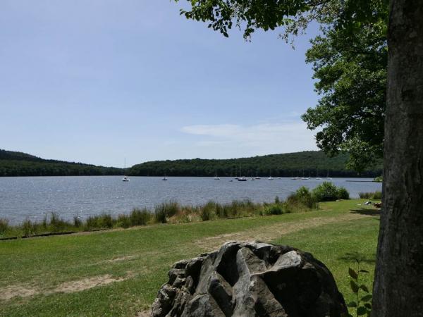 lac coté forêt