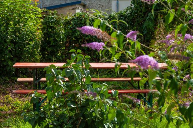 Gîte "Le Moulineau" à Deville, en plein coeur du Parc Naturel Régional - Deville - Ardennes